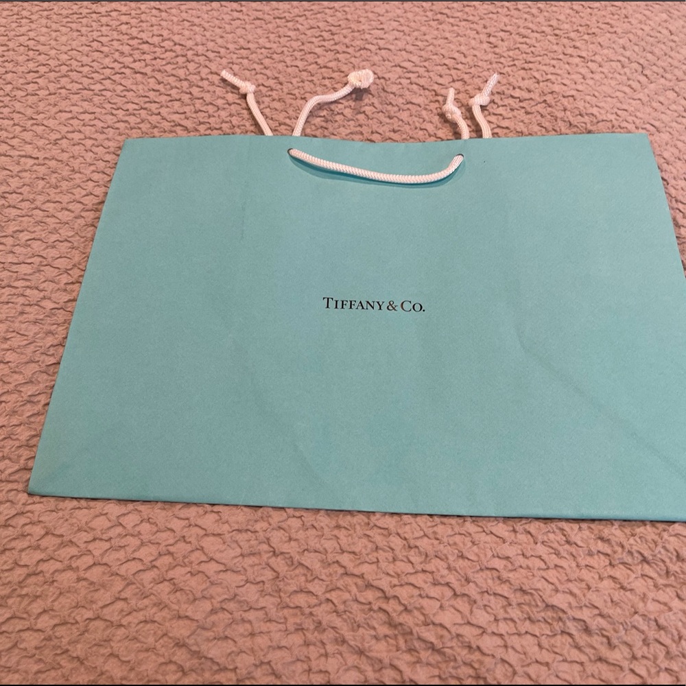 TIFFANY & CO LARGE SHOPPING BAG - Picture 1 of 4